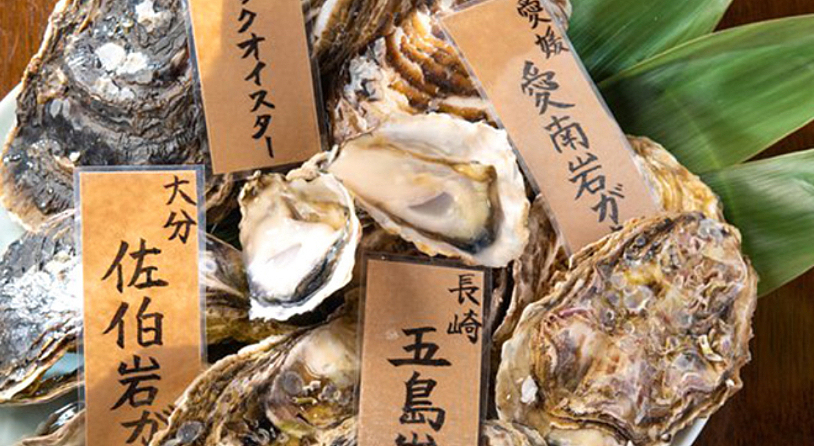 【ラスト増枠】無料で生牡蠣食べ放題？！🦪 コスパ最強の海鮮居酒屋行こう✨