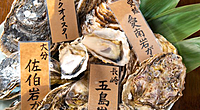 【ラスト増枠】無料で生牡蠣食べ放題？！🦪 コスパ最強の海鮮居酒屋行こう✨