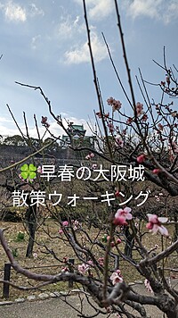 🍀冬の散策ウォーキング(大阪城界隈〜大阪天満宮)