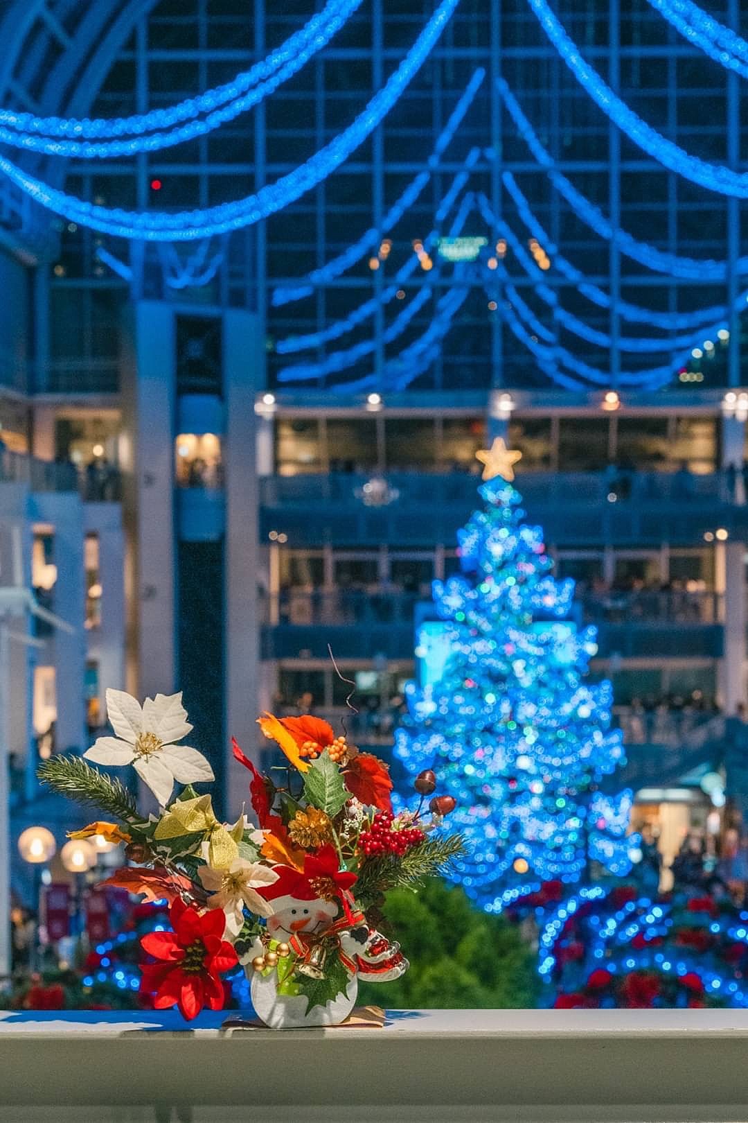 サッポロファクトリー🎄イルミネーションの会💡