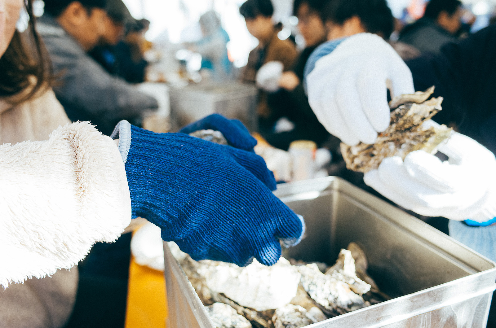 番外編🍺美味しい牡蠣と酒を飲もう、牡蠣ガンガン祭り