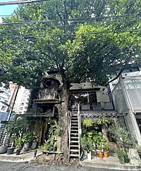 【先着4名無料】まるでツリー🌲⁉️自然を感じるカフェに行こう☕️🍰