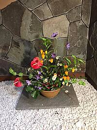 1月21日（日）【子どもの頃にお花屋さんに憧れていた人限定】性格分析まで出来る?!センス不要の生け花ワークショップin東中野