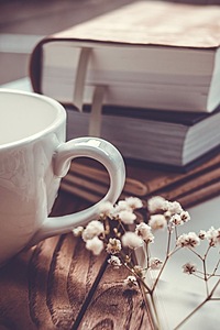 【20代女性主催】みんなでカフェ巡りして、語りましょ⟡.·