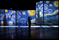 【寺田倉庫×ゴッホアライブ】没入型鑑賞でアートの世界に浸ろう🎨✨