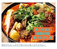 【韓国料理🍜】食通の方のオススメ✨美味しい韓国料理を食べに行こう🌶️✨