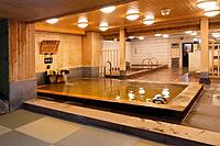 スパ施設でサウナや温泉を楽しむ【初参加・一人参加者多数】