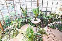 【ラスト1枠】植物園の中にあるカフェ☕🌼🤍渋谷区ふれあい植物センターに行こう🥞☕🌷♡