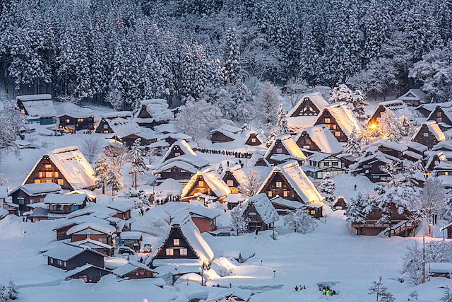 旅行アクティビティ初の泊まり企画!!岐阜の雪景色を見て観光しよう