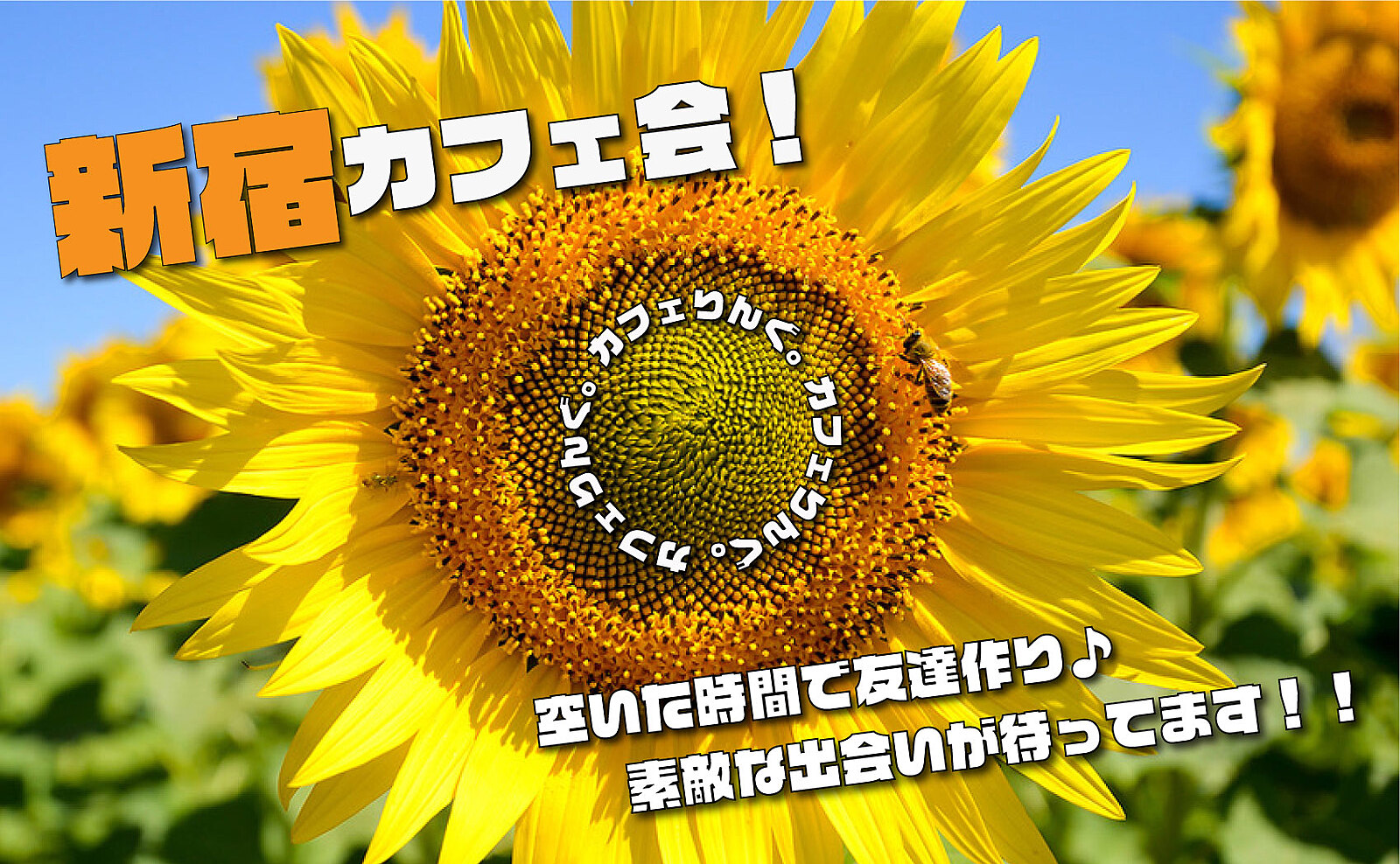 ✨平均参加人数10名以上✨《新宿》東南口から徒歩２分！ ゆったりカフェ会☕️初めましての方は参加費無料✨平日毎日開催！13:30〜、15:00〜、16:30〜【領収書発行可】