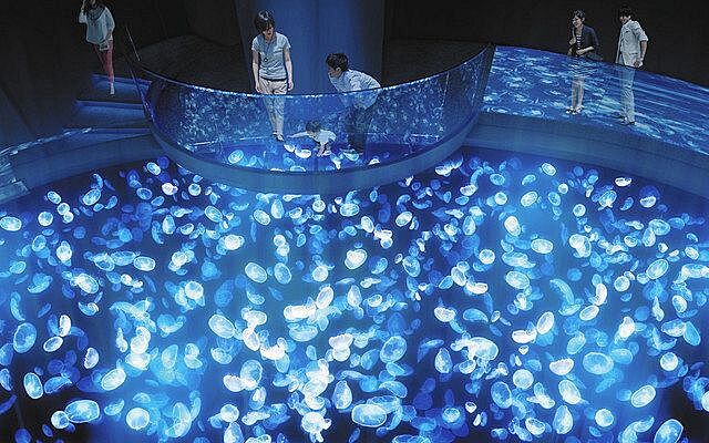すみだ水族館×押上でそのまませんベロしちゃいましょう♬