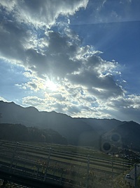 【朝活ウォーキング】美しい自然と心地よい運動で一日をスタートしよう！