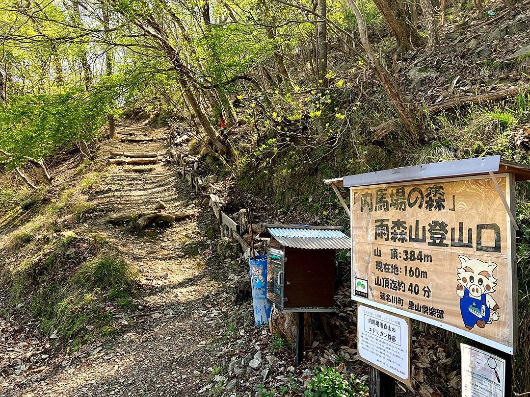 【2月23日(祝)】雨森山ハイキング