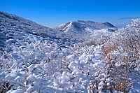 くじゅう朝駆けからの御池鍋会楽しみましょう