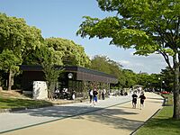 2/4(日) 10:00～11:00アオハウォーキング