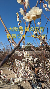 🍀冬の散策ウォーキング(大阪城界隈〜大阪天満宮)