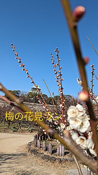 街ラン(京橋〜大阪城〜中之島〜京橋)