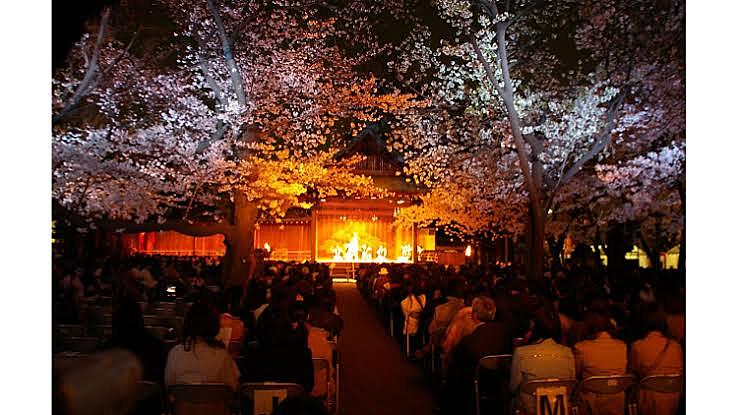 お花見&能楽！　靖国神社で夜桜能を観よう