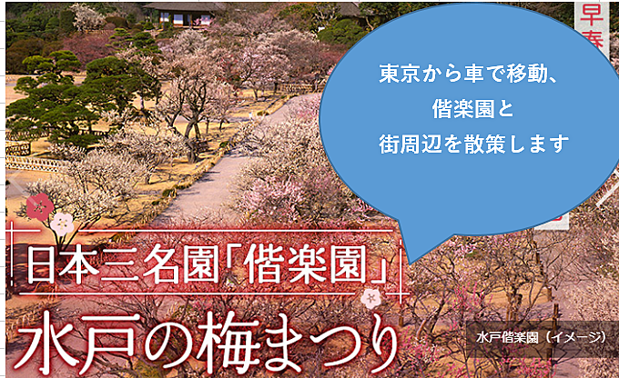 【車で一緒に】梅の季節に水戸偕楽園と歴史巡りをしよう（解説説明有）