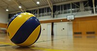 🏐体育レベルのバレー会🏐新宿区開催【29歳以下限定】初心者歓迎