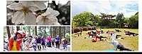 3月31日(日)山☆YOGA in多度山  (三重県)