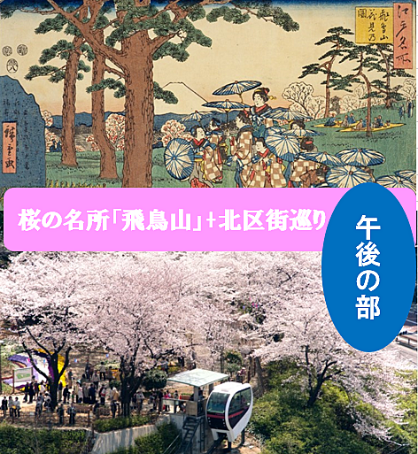 【午後の部】江戸の飛鳥山の桜をメインに、北区街巡りをしよう