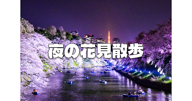 都内随一の桜の名所【千鳥ヶ淵】のんびり歩きながら夜桜と交流を楽しみましょう♪