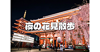 【浅草】のんびり歩きながら夜桜と交流を楽しみましょう♪