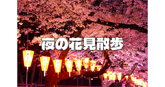 【上野公園】のんびり歩きながら夜桜と交流を楽しみましょう♪