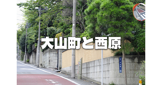 富豪が住む高級住宅地、渋谷区大山町や渋谷区西原を歩きます♪