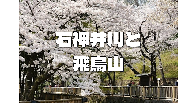 桜並木で有名な石神井川と音無親水公園と飛鳥山公園を散策します♪