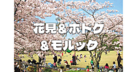 代々木公園で花見＆モルック＆ボドゲ会！初心者・持込・途中参加OKです♪