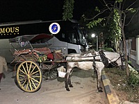 【30代〜】競馬場に行ってみようの会🐎