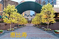 【女性主催、女性限定、カフェだき】わくわくウォーキング女子会