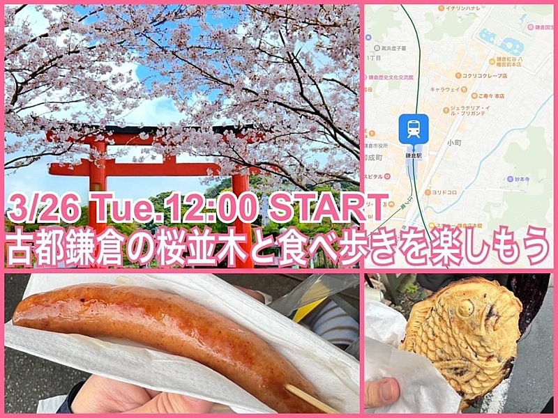 平日開催！かまくらの桜と食べ歩きでのんびり散策＆おまいりめぐり