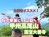 ◎千本桜/甲州高尾山/国宝大善寺/大日影トンネル◎見晴らし抜群！360度の大パノラマ！富士山、甲府盆地、南アルプスが見渡せる絶景スポット！