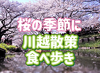 【桜/御朱印/食べ歩き】桜の季節に川越散策！人見知りさんも歓迎！小江戸川越の古い街並みを楽しもう！