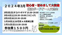 大阪　難波　初心者ボードゲーム交流会　どなたでも大歓迎！！