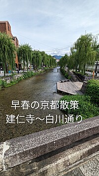 早春の京都散策ウォーキング(建仁寺〜祇園.白川通り)