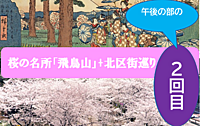 【１回目】飛鳥山の桜をメインに、北区街巡りをしよう（説明・解説有り）