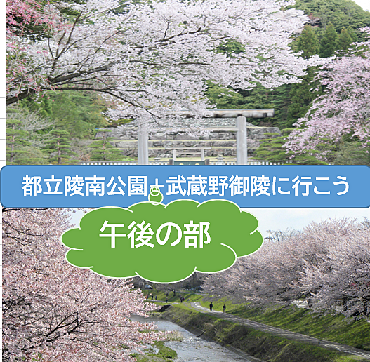 【午後の部】知られざる桜スポットと天皇陵にいこう！（説明解説有）