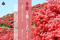【開催決定・あと1名で〆切】100万本のツツジを見に行こう！ゆるく楽しく、ツツジを見ながらハイキング