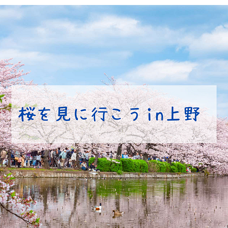 《おさんぽ》桜を見に行こうin上野🌸🌸
