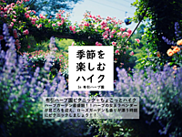 季節を楽しむハイク in 布引ハーブ園※予備日あり