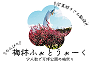 【少人数】のんびり！梅林ふぉとうぉーく🌸