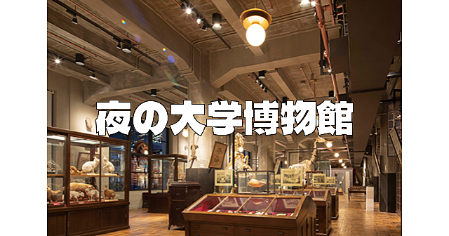 ナイトミュージアムと夜景散歩。日本郵便と東京大学によるミュージアムにいきます。特別展示は『都市 − ヱドキリエズ』
