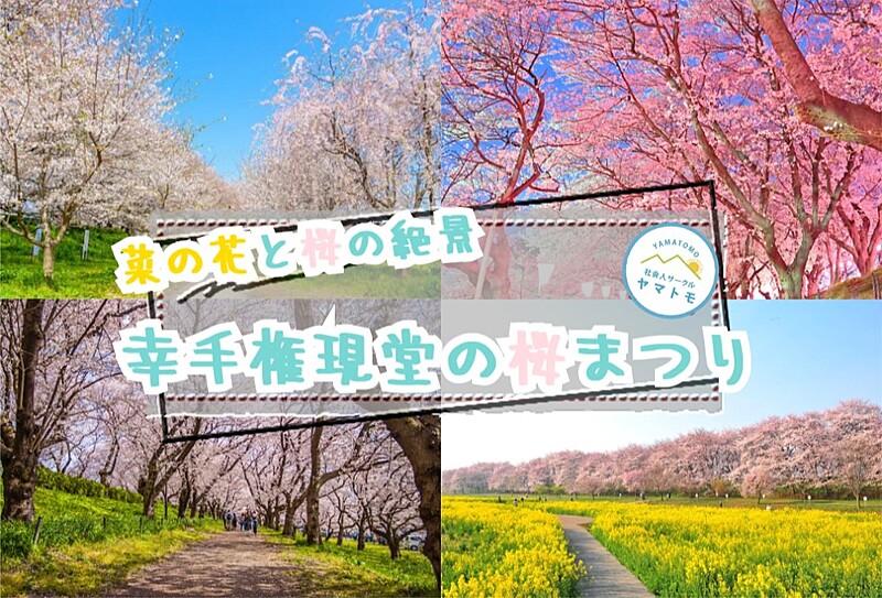 【男性満席/早割あり/20-30代】関東の桜の名所として人気の幸手桜まつりを楽しむイベント