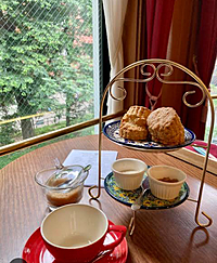 【吉祥寺×ムレナスティ🌸】心地よい紅茶の香りに包まれる贅沢ブランチ会✨