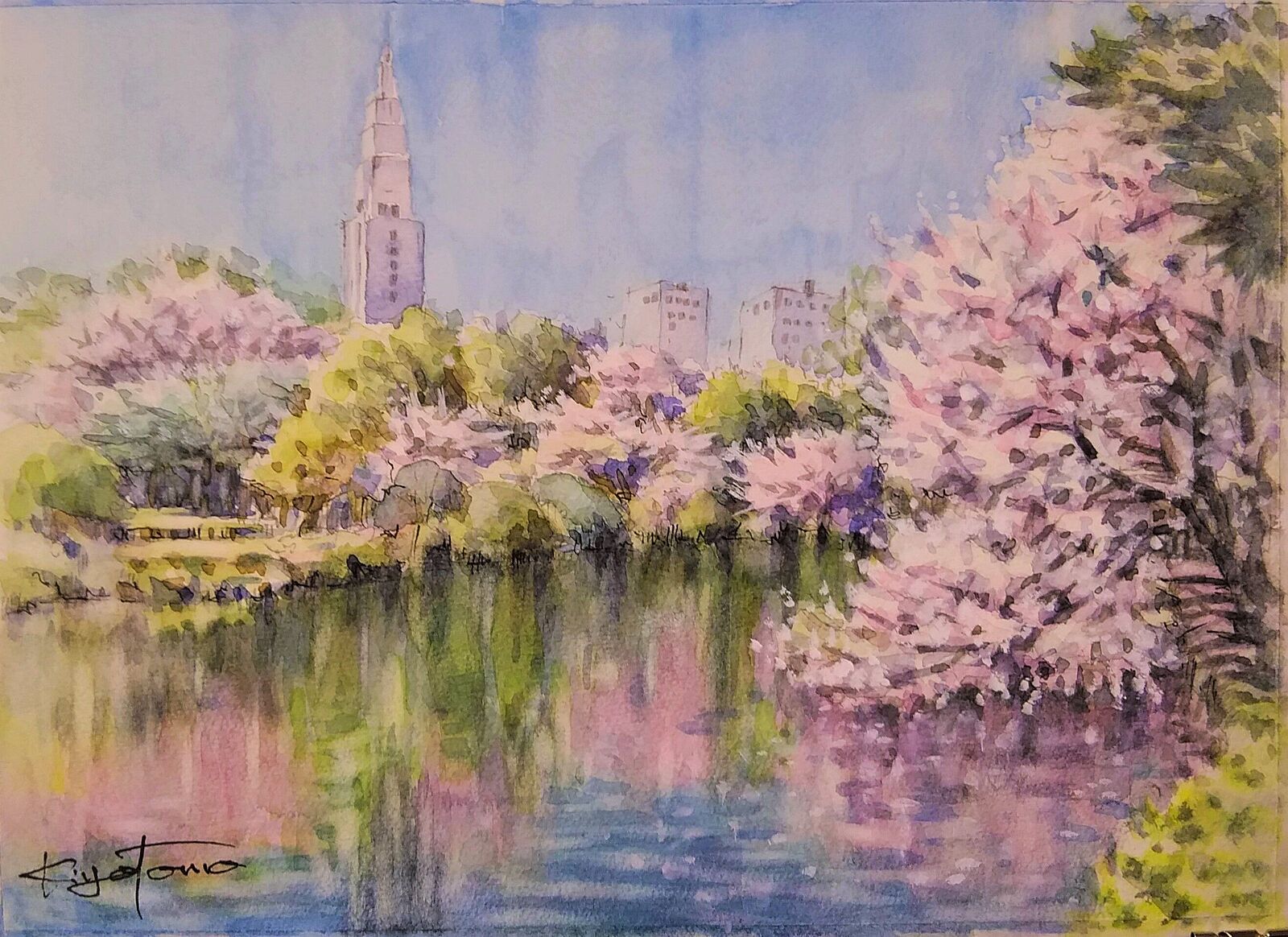 参加者15名以上【新宿御苑でお花見スケッチ🌸】春の訪れを感じながら、一緒に楽しくお絵描きをして過ごしましょう✨