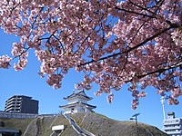 【宇都宮】3/9(土) 春を味わう🌸お花見&餃子会